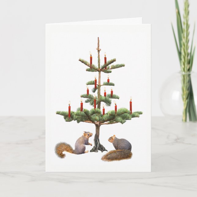 Écureuils Rouges Bougies Arbre Carte de Noël (Devant)