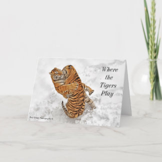 Ed Christmas Card 2014 number 2