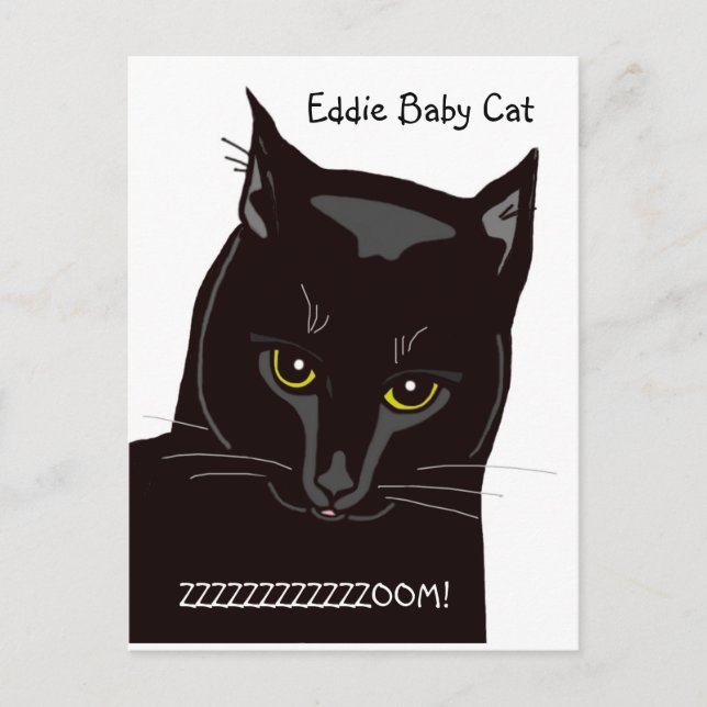 Eddie Baby Cat Postcard (Front)