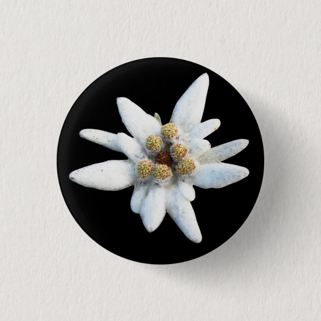 Edelweiss Alpine Flower 1 Inch Round Button (Front)