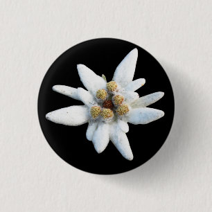 Edelweiss Alpine Flower 1 Inch Round Button