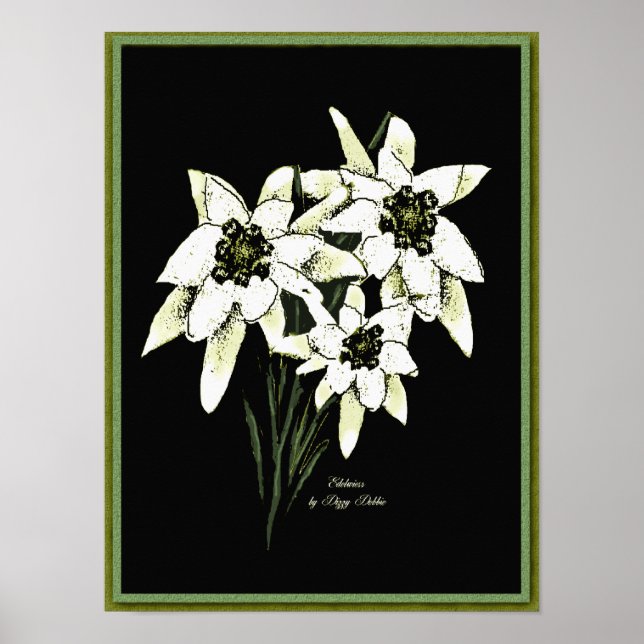 Edelweiss Artwork Print (Front)