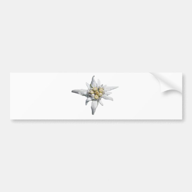 Edelweiss Bumper Sticker (Front)