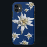 Edelweiss Case on dark blue background<br><div class="desc">Edelweiss flower from the Alpes on a dark blue background</div>