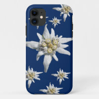 Edelweiss Case on dark blue background