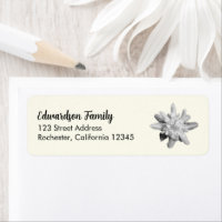 Edelweiss flower family name return address
