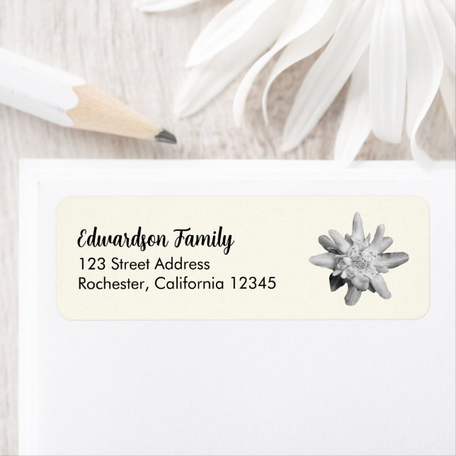 Edelweiss flower family name return address (Insitu)