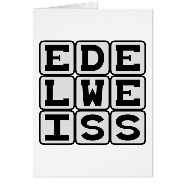 Edelweiss, White Flower (Front)