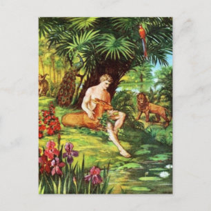 Eden Adam In The Garden Postcard