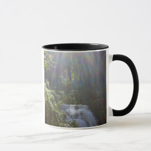 EDEN RAINBOWS MUG