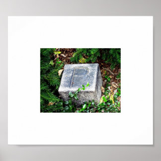 EDGAR ALLAN POE FOOT MARKER BALTIMORE MD 021911 POSTER