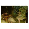 Edgar Degas - Ballet 1875 Dancer Dance girls tutu