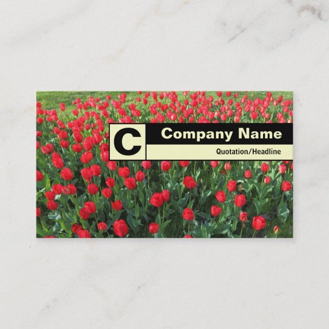 Edge Labelled Monogram - Bed of Red Tulips 01 Business Card (Front)