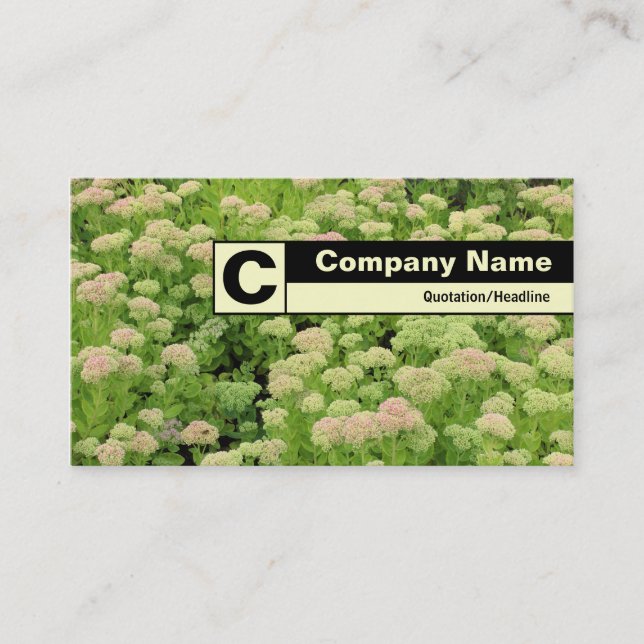 Edge Labelled Monogram - Sedum (Autumn Joy) Business Card (Front)