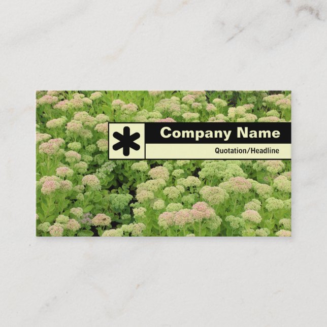 Edge Labelled - Sedum (Autumn Joy) Business Card (Front)