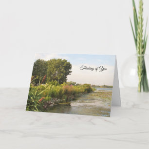 Edge of the Bay - Thinking of You Card