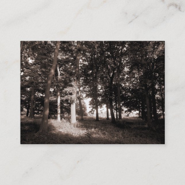 Edge of the Woods Business Card (Front)