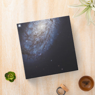 Edge-On Galaxy Ngc 4302 & Tilted Galaxy Ngc 4298 Binder