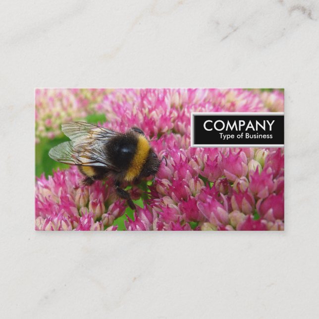 Edge Tag - Bumble Bee on Sedum (Front)