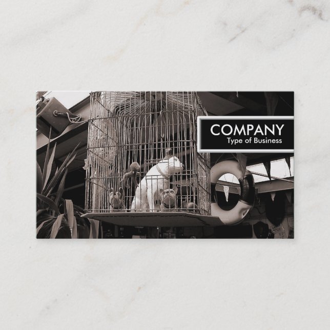 Edge Tag - Caged Beasts (Front)