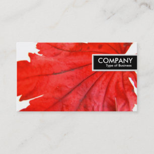Edge Tag - Japanese Maple Leaf