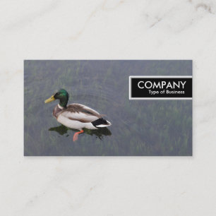 Edge Tag - Mallard Duck