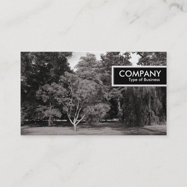 Edge Tag - Trees, Bute Park, Cardiff - WarmBW (Front)