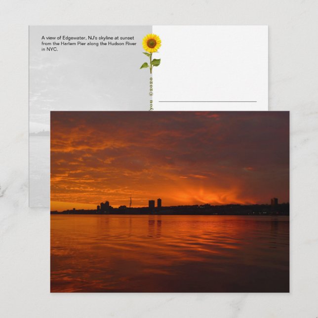 Edgewater, NJ Skyline - H postcard (Front/Back)