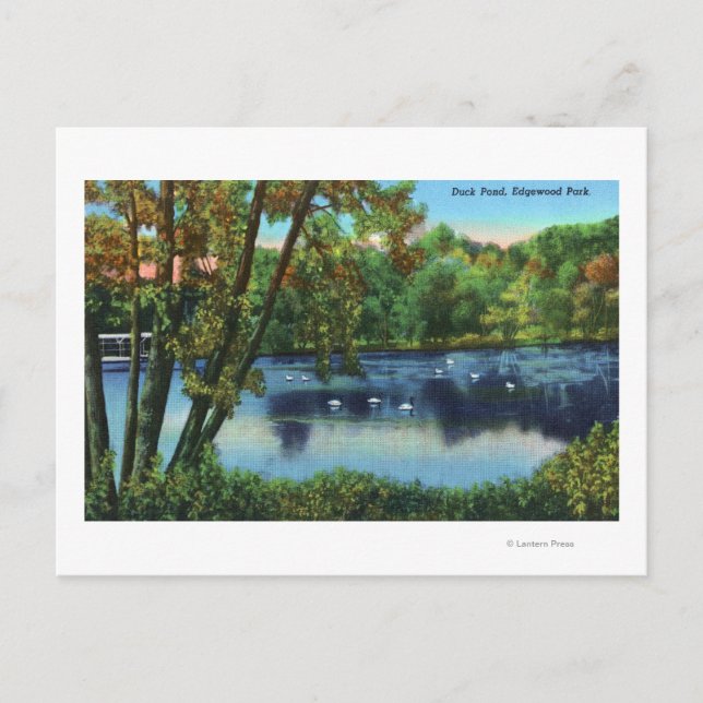 Edgewood Park View of the Duck Pond Postcard (Front)