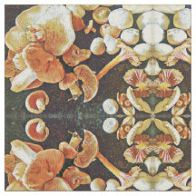 Edible Mushrooms Kaleidoscope