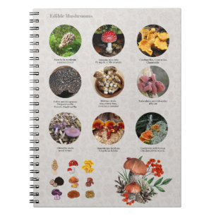 Edible Mushrooms Photos Guide Chart Journal