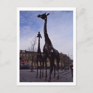 Edinburgh Giraffes Postcard