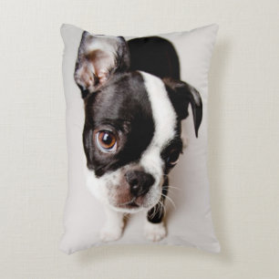Edison Boston Terrier puppy. Decorative Pillow