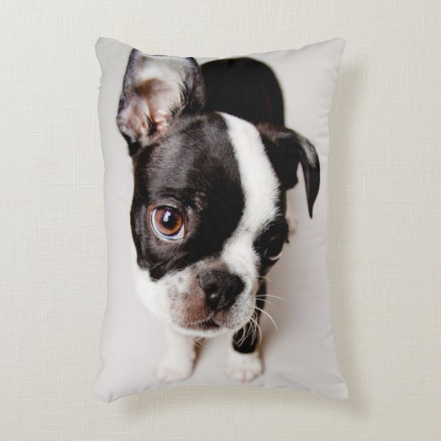 Edison Boston Terrier puppy. Decorative Pillow (Front(Vertical))