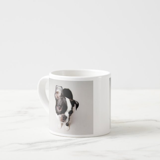 Edison Boston Terrier puppy. Espresso Cup (Front Left)