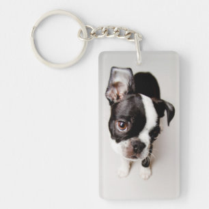 Edison Boston Terrier puppy. Keychain