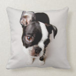 Edison Boston Terrier puppy. Throw Pillow<br><div class="desc">Curious</div>