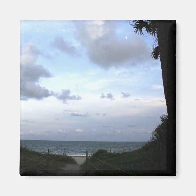 Edisto Island SC Magnet (Front)