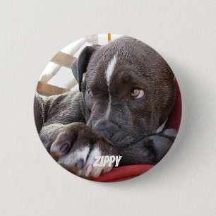 Editable Baby Pitbull Puppies 2 Inch Round Button