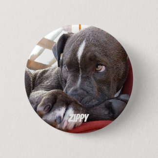 Editable Baby Pitbull Puppies 2 Inch Round Button
