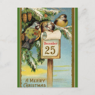   Editable Chickadees on Christmas December 25 Postcard