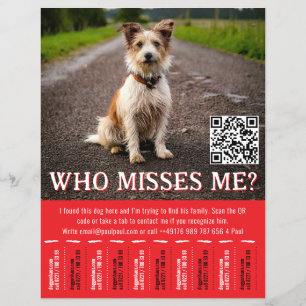 Editable Found Dog Poster With QR Code & Tear‑Off Flyer