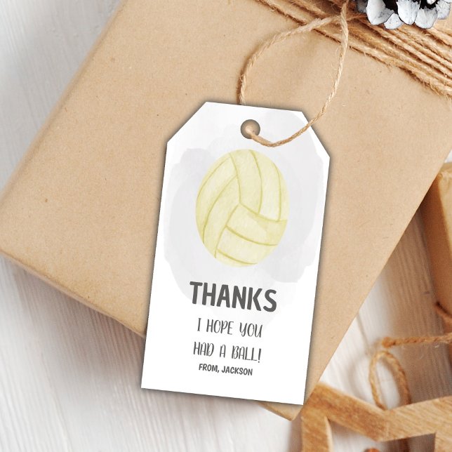 Editable Girls Sports Party Favor Tags with Modern (Volleyball Birthday Gift Tags)