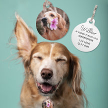 Editable Pet ID Tags, Dog Cat Name Tags