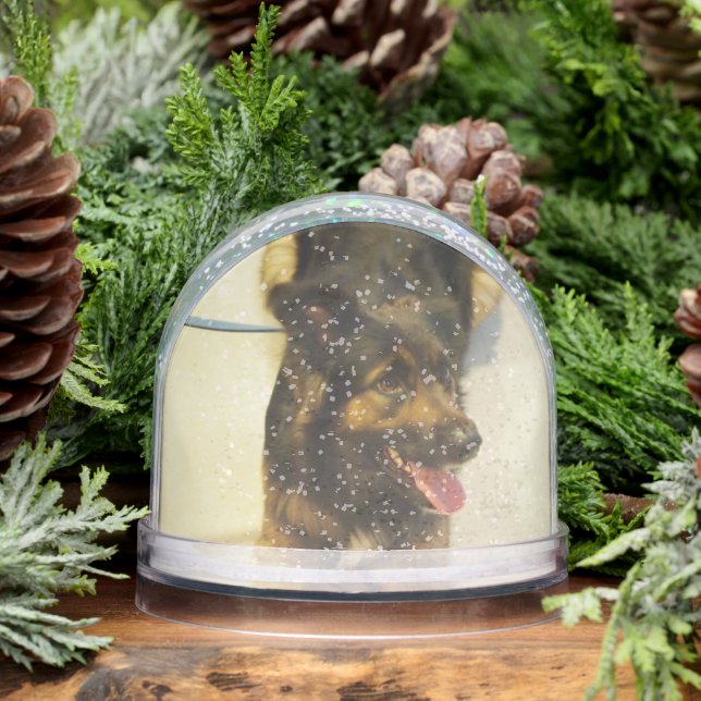 Editable Pet Photo Name and Dates Snowglobe (Winter)