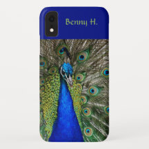 Editable Proud Peacock Blues and Greens
