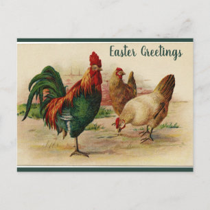 Editable Rooster and Hens Easter Postcard