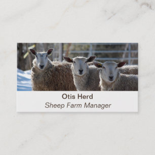 Editable Sheep Farmer Butcher  Business Card