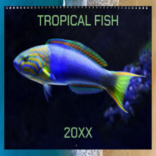 Editable Tropical Fish Calendar