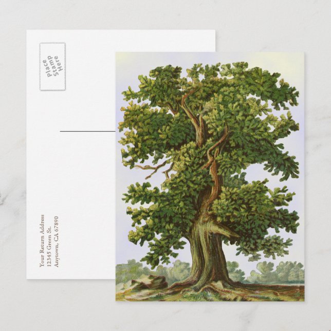 Editable Vintage Oak Tree Postcard (Front/Back)